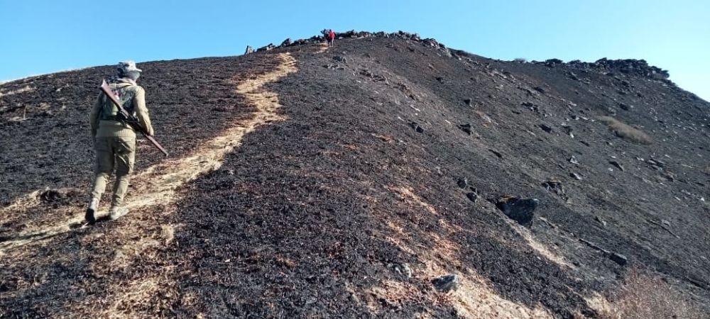 The top surface of Mount Saramati was razed to ashes by a fire allegedly caused by negligence of trekkers. (Photo Courtesy: Thanamir Village Council)